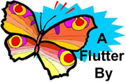 butterfly.jpg